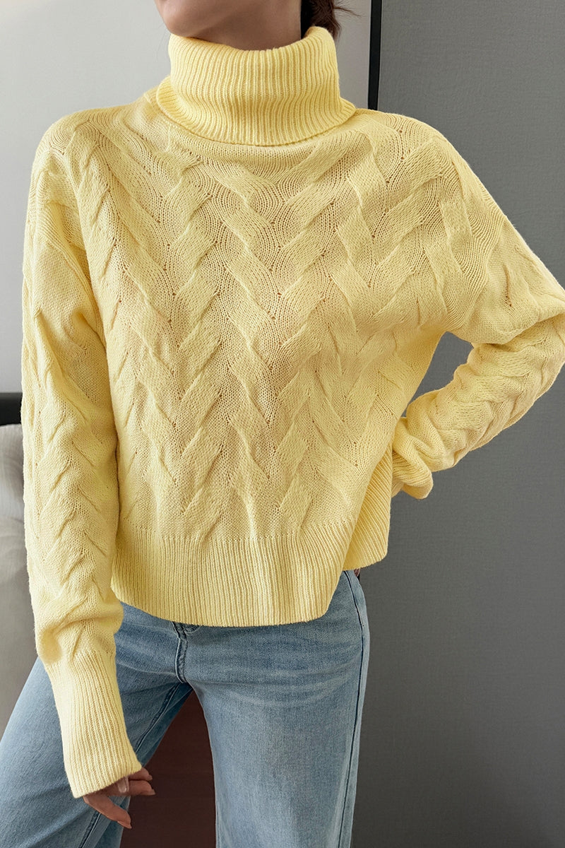 Solid Roll Neck Knit Long Sleeves Sweater