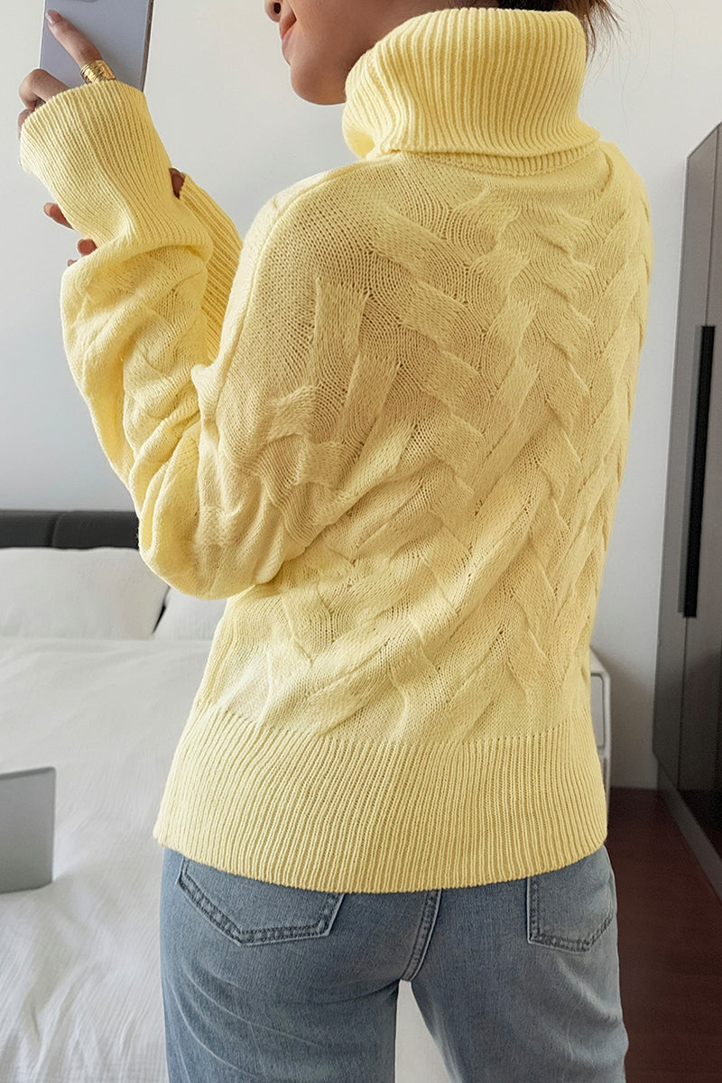 Solid Roll Neck Knit Long Sleeves Sweater